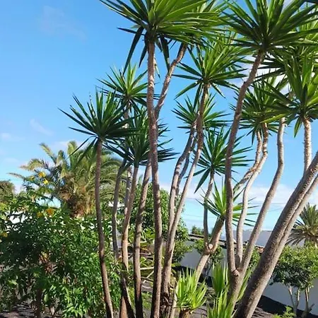 Casa Palmeral
