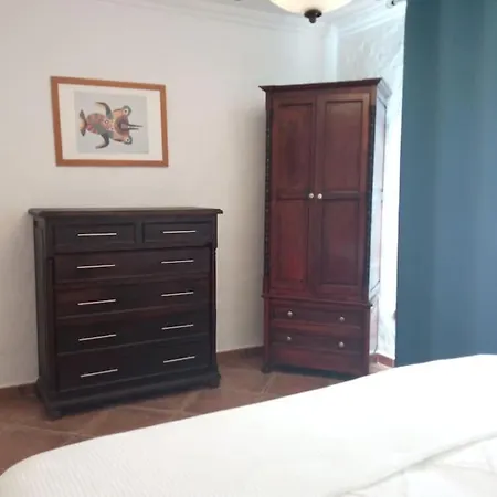 Casa Palmeral