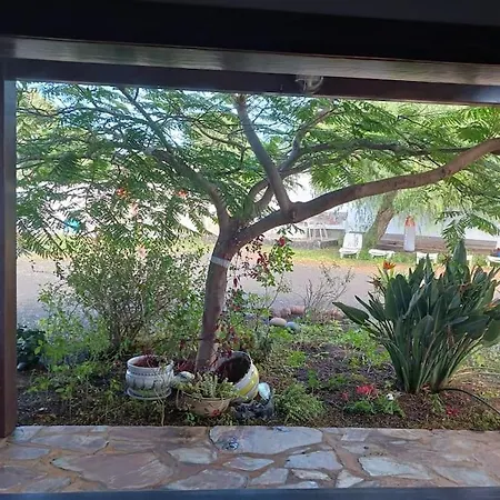 Holiday home Casa Palmeral